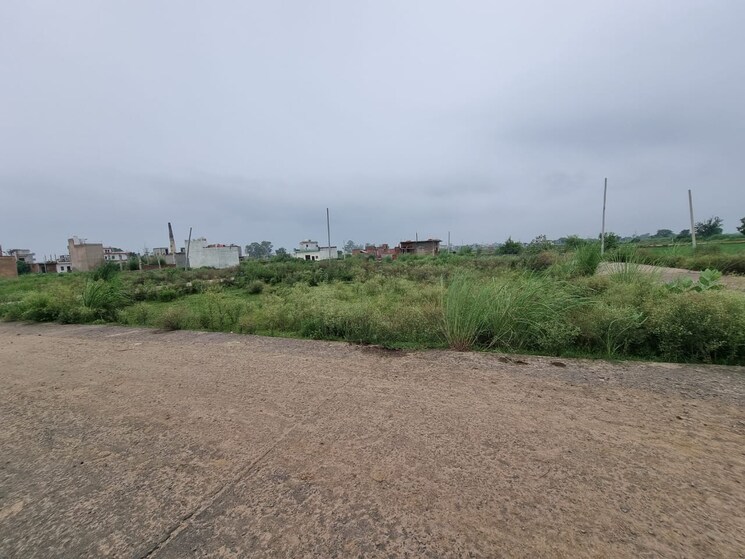 Nearby, sirsa  40 Sq.Yd. Plot In Sirsa Greater Noida 9067639