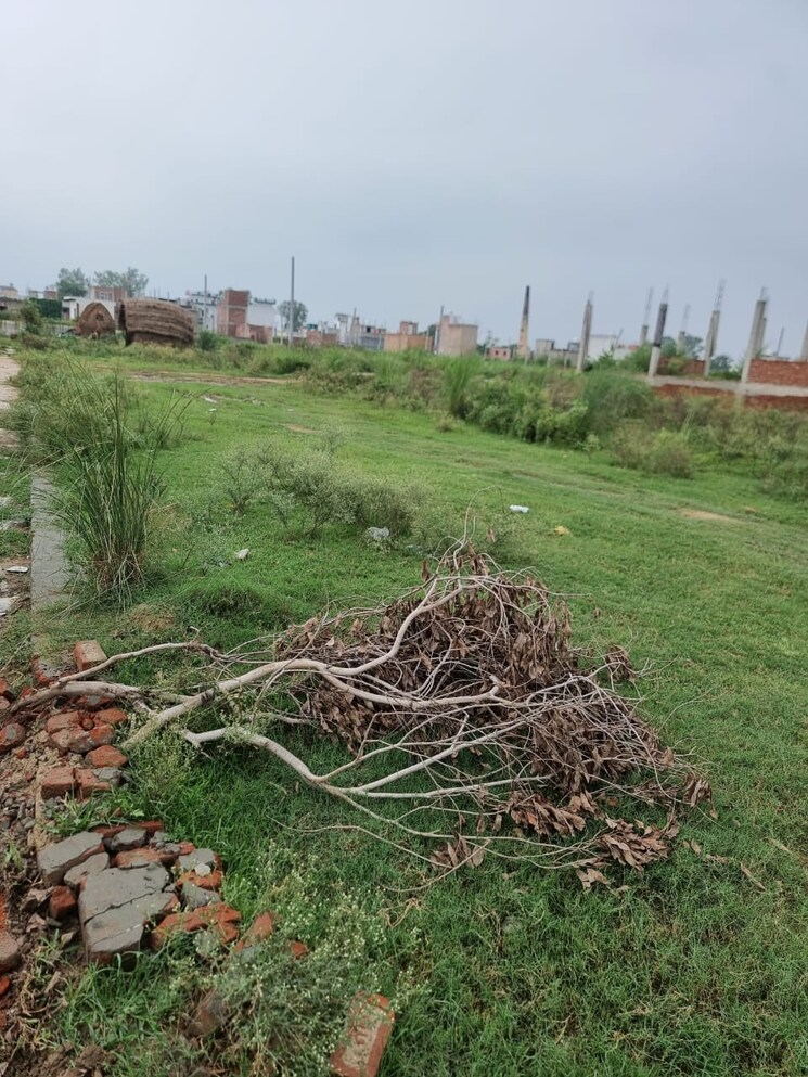 undefined, sirsa  40 Sq.Yd. Plot In Sirsa Greater Noida 9067639