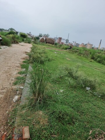Plot Area in  Land at Sirsa – for Sale