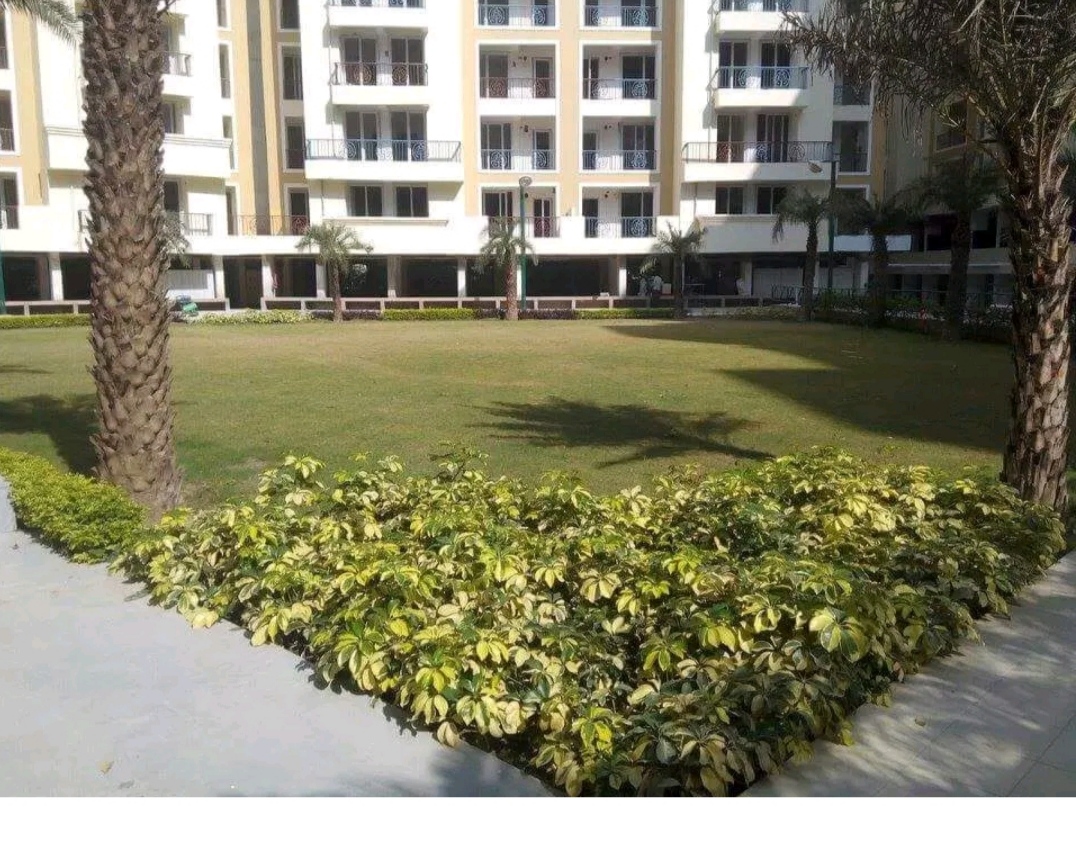 2 BHK 2250 Sq.Ft. Apartment in Pacific Golf Estate