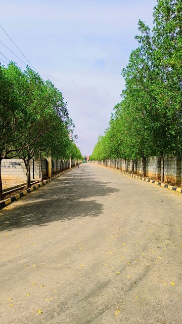  Plot – Exterior View View at SKH Echium, Whitefield - for Sale