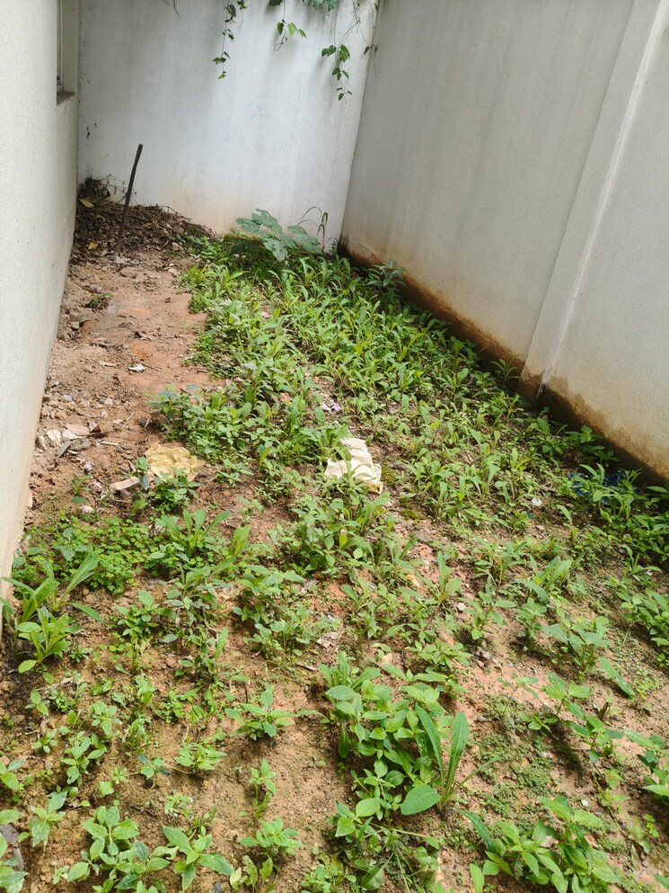 Other, frazer town 4 Bedroom 3650 Sq.Ft. Apartment In Frazer Town Bangalore 9069368