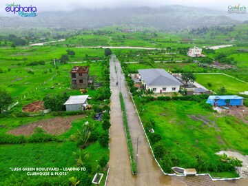  Plot For Sale in Ghoti