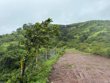 Plot Area in  Plot at Ghoti – for Sale