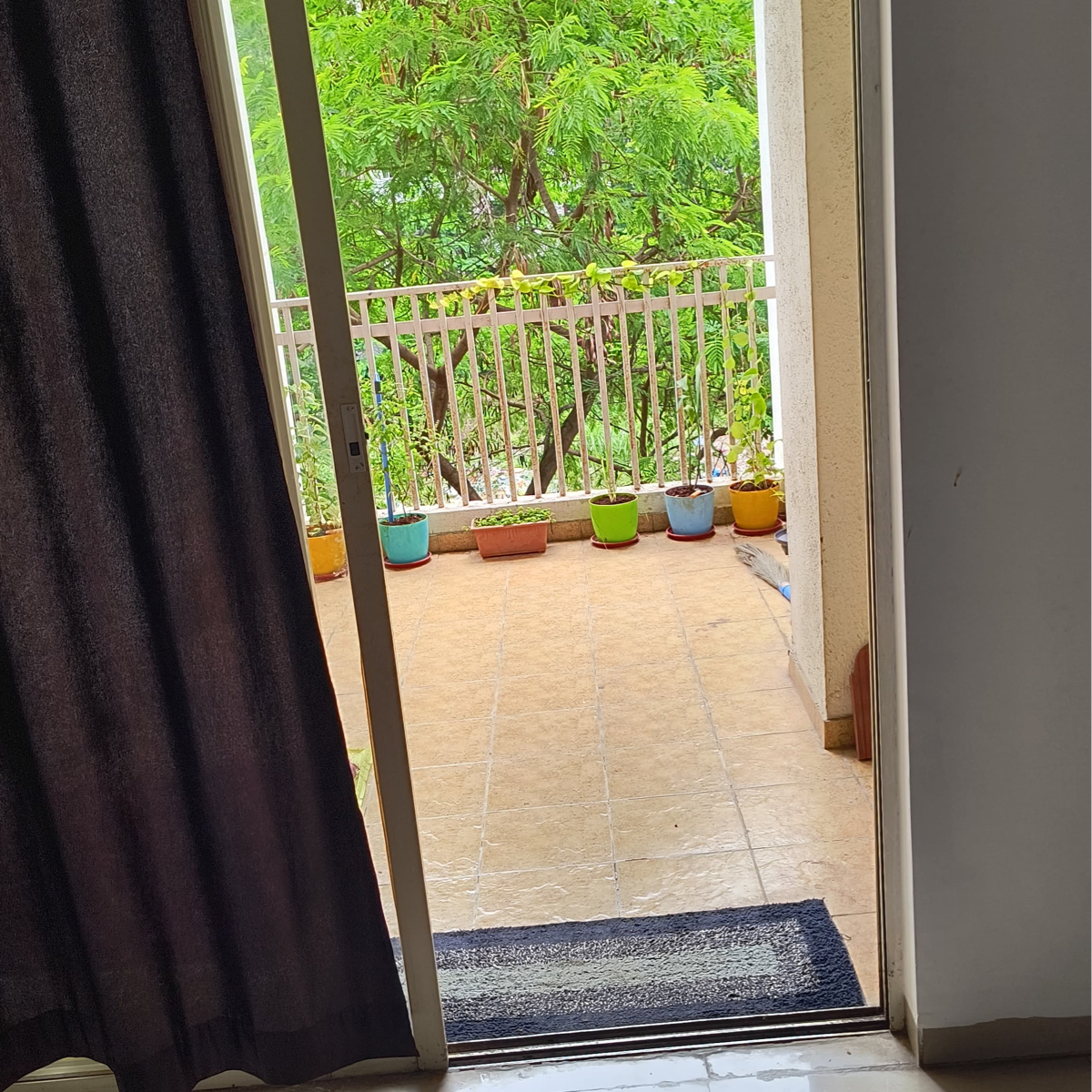 2 BHK + Pooja Room 846 Sq.Ft. Apartment in Paramount Altissimo