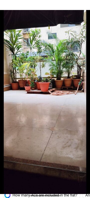 2.5 BHK Apartment For Rent in Ashoka Tower Andheri, Versova