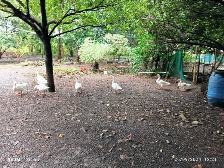 undefined, nahar-amaryllis-towers-and-plaza 2 Bedroom 557 Sq.Ft. Apartment In Chandivali Mumbai 9070406