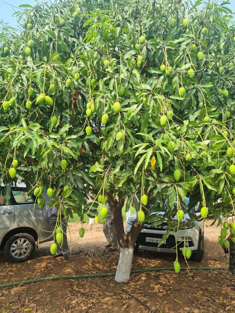 Exterior View, jai-sai-kuteer  150 Sq.Yd. Plot In Ramoji Film City Hyderabad 9070417