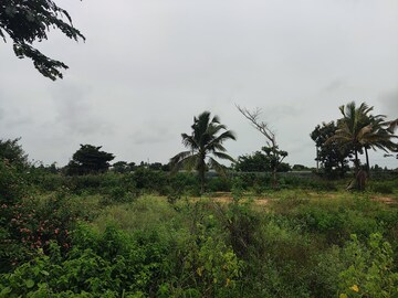 Plot Area in  Plot at Prestige Marigold, Bettenahalli – for Sale