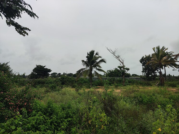 undefined, prestige-marigold  6127 Sq.Ft. Plot In Bettenahalli Bangalore 9070461