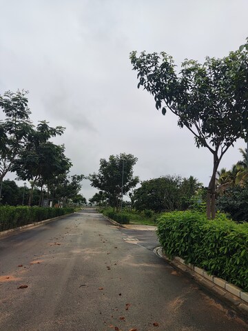 Plot Area in  Plot at Prestige Marigold, Bettenahalli – for Sale