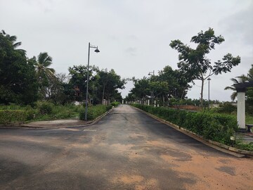 Plot Area in  Plot at Prestige Marigold, Bettenahalli – for Sale