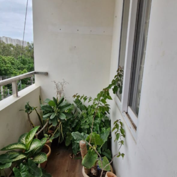 Balcony in 3 BHK Builder Floor at Kondapur – for Rent
