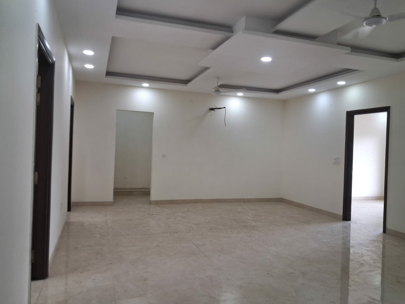 4 BHK + Pooja Room,Study Room Builder Floor For Rent in Sector 28