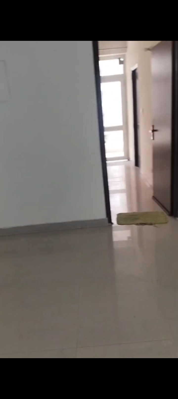 2 BHK Apartment For Rent in Supertech Ecovillage I