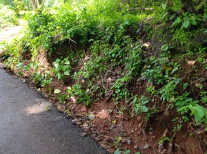 Plot Area in  Plot at Border Road Housing Society, Dhanori – for Sale