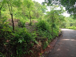  Plot – Garden View at Border Road Housing Society, Dhanori - for Sale