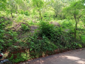  Plot – Garden View at Border Road Housing Society, Dhanori - for Sale