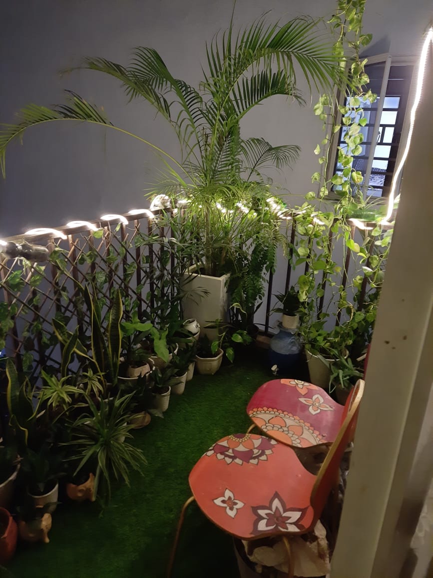 2 BHK Apartment For Rent in Panchsheel Greens