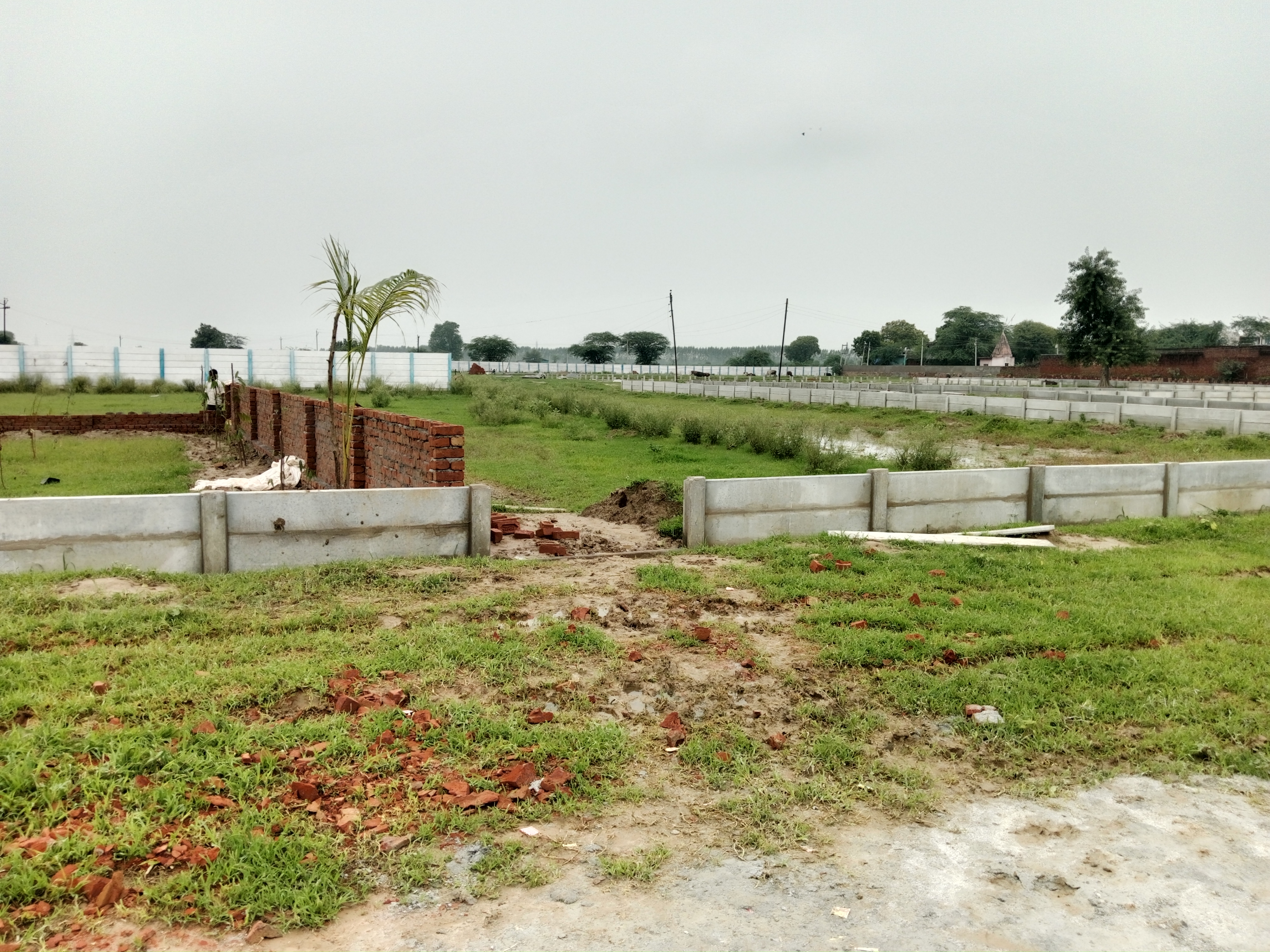 Plot For Sale in Agra Dwarika Residency 