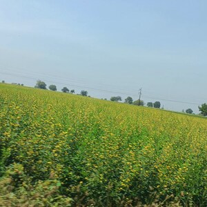 Plot Area in  Land at Vinukonda – for Sale