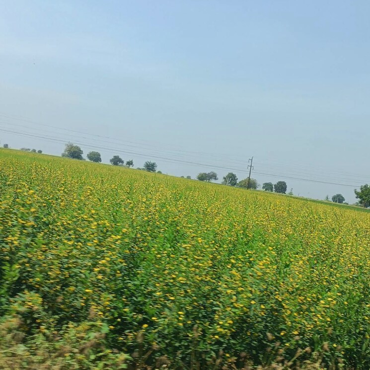 undefined, vinukonda Commercial Land 5 Acre In Vinukonda Guntur 9070831