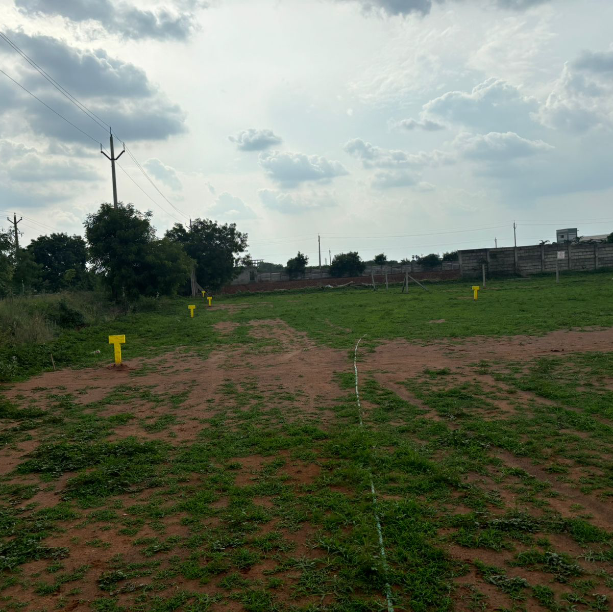 Plot For Sale in Punadipadu