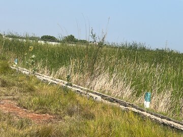 Plot Area in  Plot at Chollangi – for Sale
