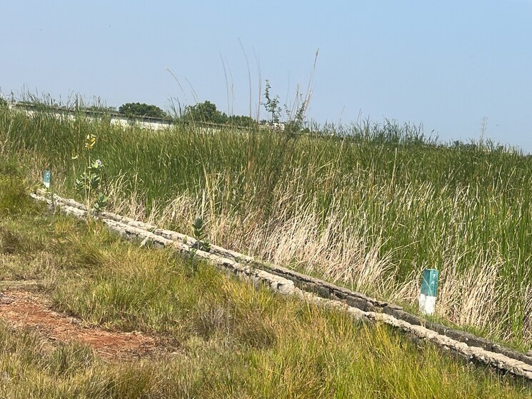 undefined, chollangi  220 Sq.Yd. Plot In Chollangi Kakinada 9070197