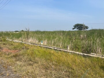  Plot For Sale in Chollangi