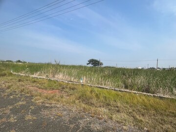 Plot Area in  Plot at Chollangi – for Sale