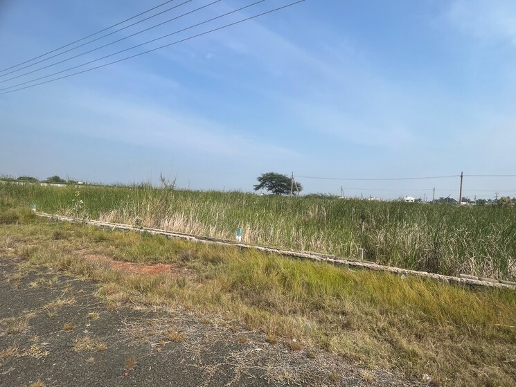 undefined, chollangi  220 Sq.Yd. Plot In Chollangi Kakinada 9070197