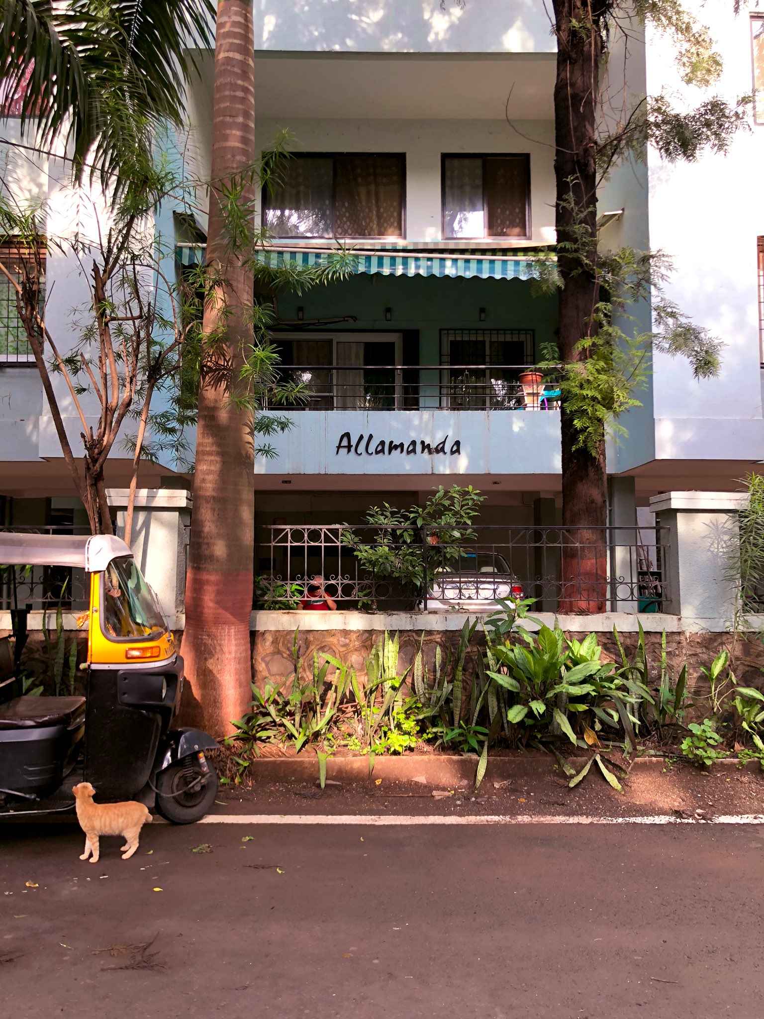 3 BHK Apartment For Rent in Allamanda Apartment