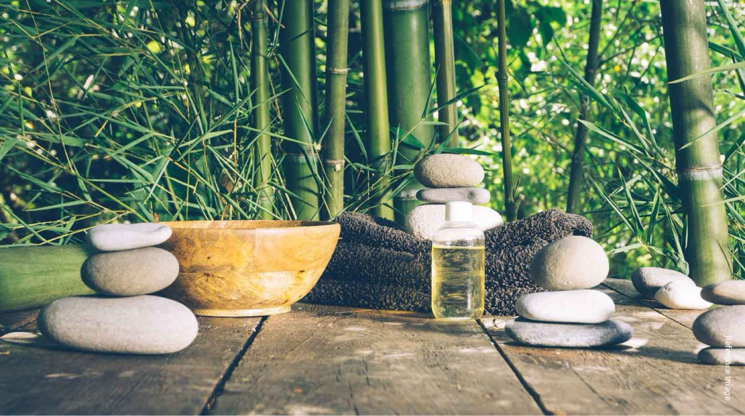 Living Room, central-park-ii-belgravia-resort-residences 3 Bedroom 1867 Sq.Ft. Apartment In Tikri Gurgaon 9071022