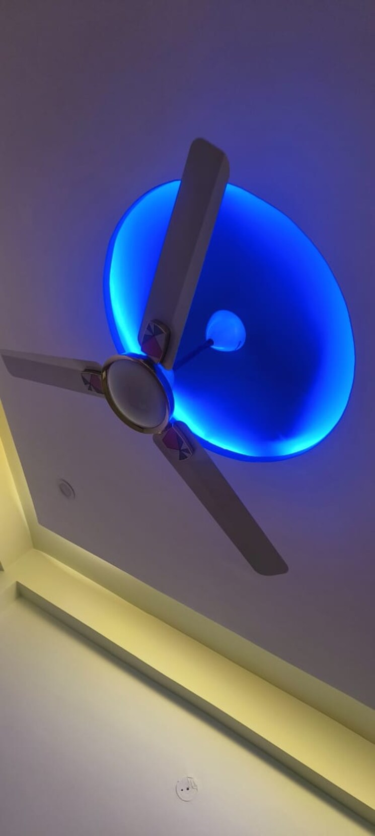 undefined, proplarity-gomti-ganj 1 Bedroom 600 Sq.Ft. Builder Floor In Gomti Nagar Lucknow 9071100