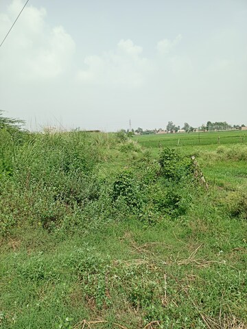  Plot For Sale in Sector 10