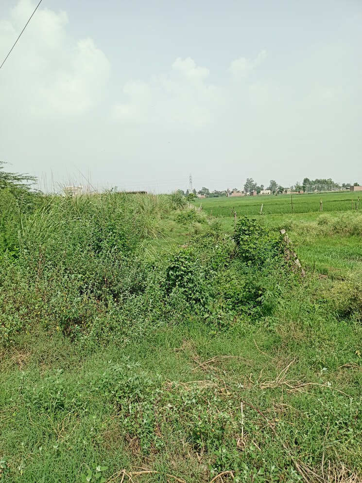 Listing Cover Image