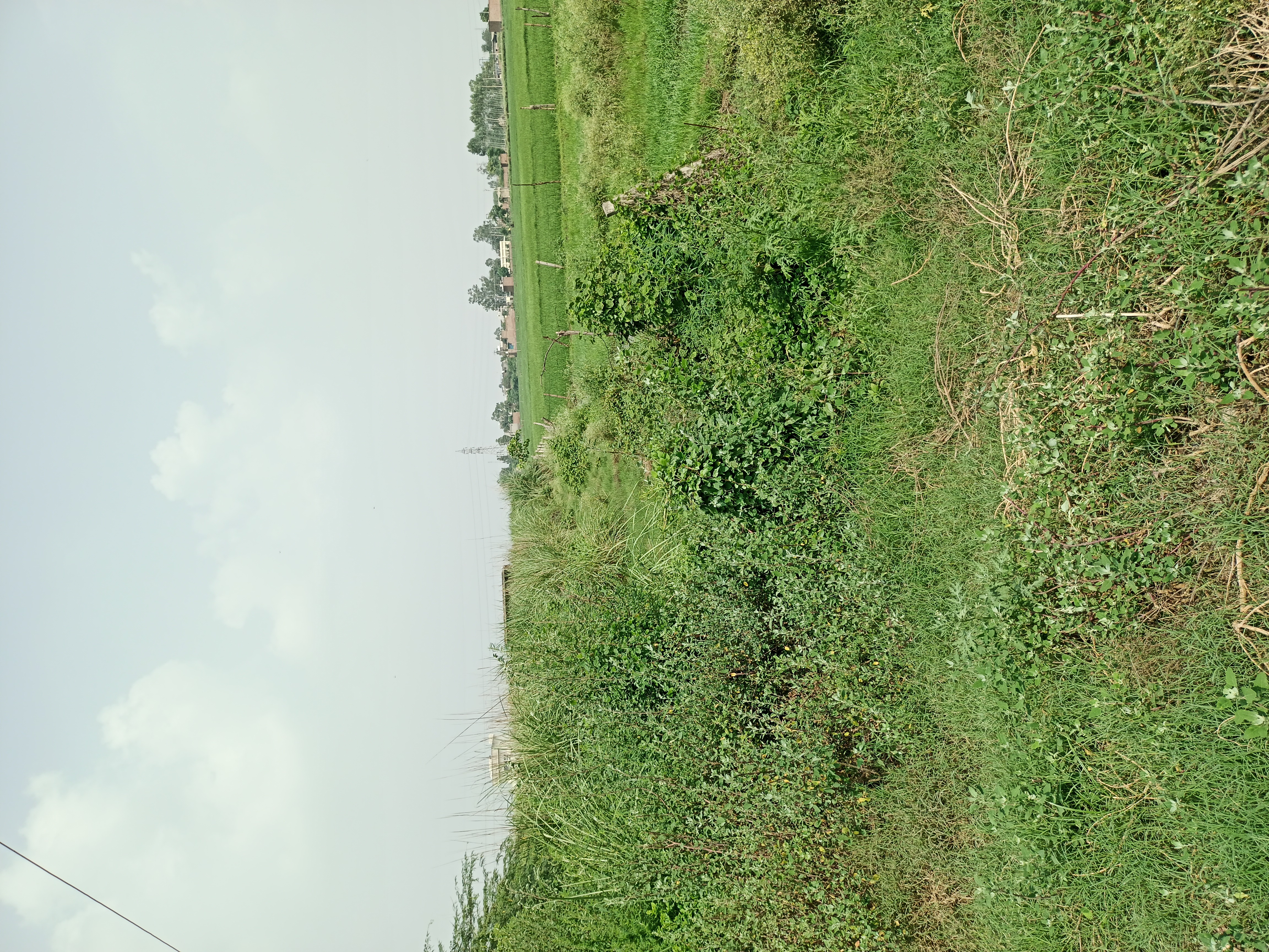 Plot For Sale in Sector 10