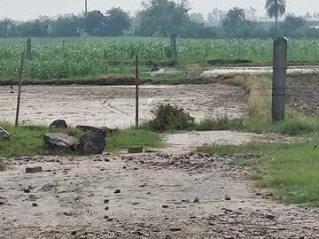  Plot For Sale in Bhopani