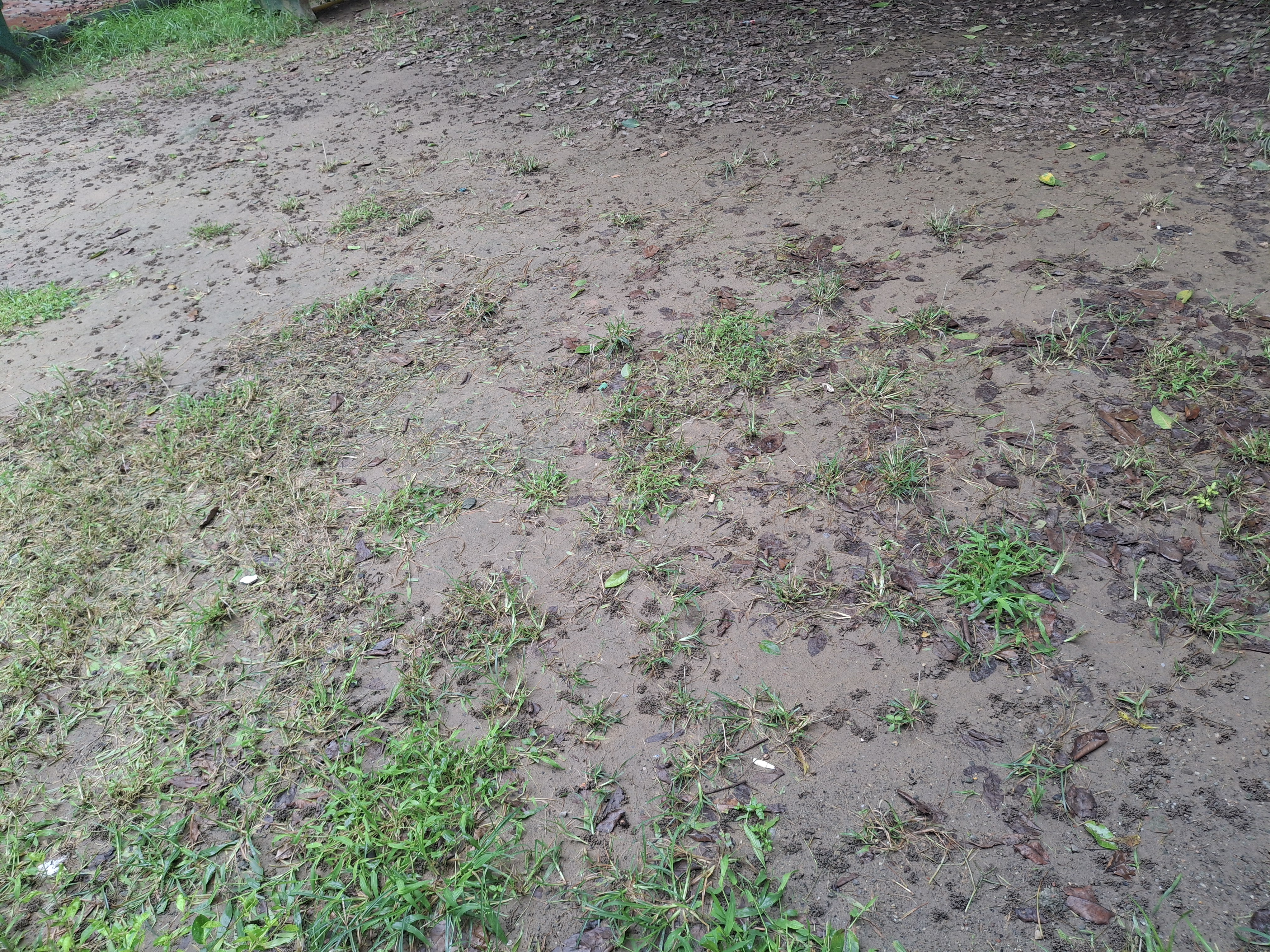 Plot For Sale in Sector 95