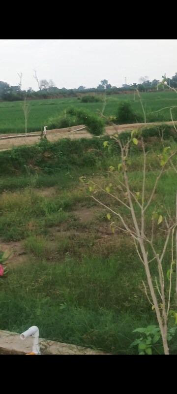 Plot Area in  Plot at JDIA Dream City, Jewar – for Sale