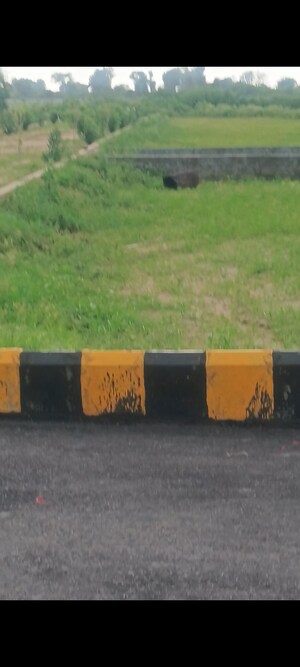 Plot Area in  Plot at JDIA Dream City, Jewar – for Sale