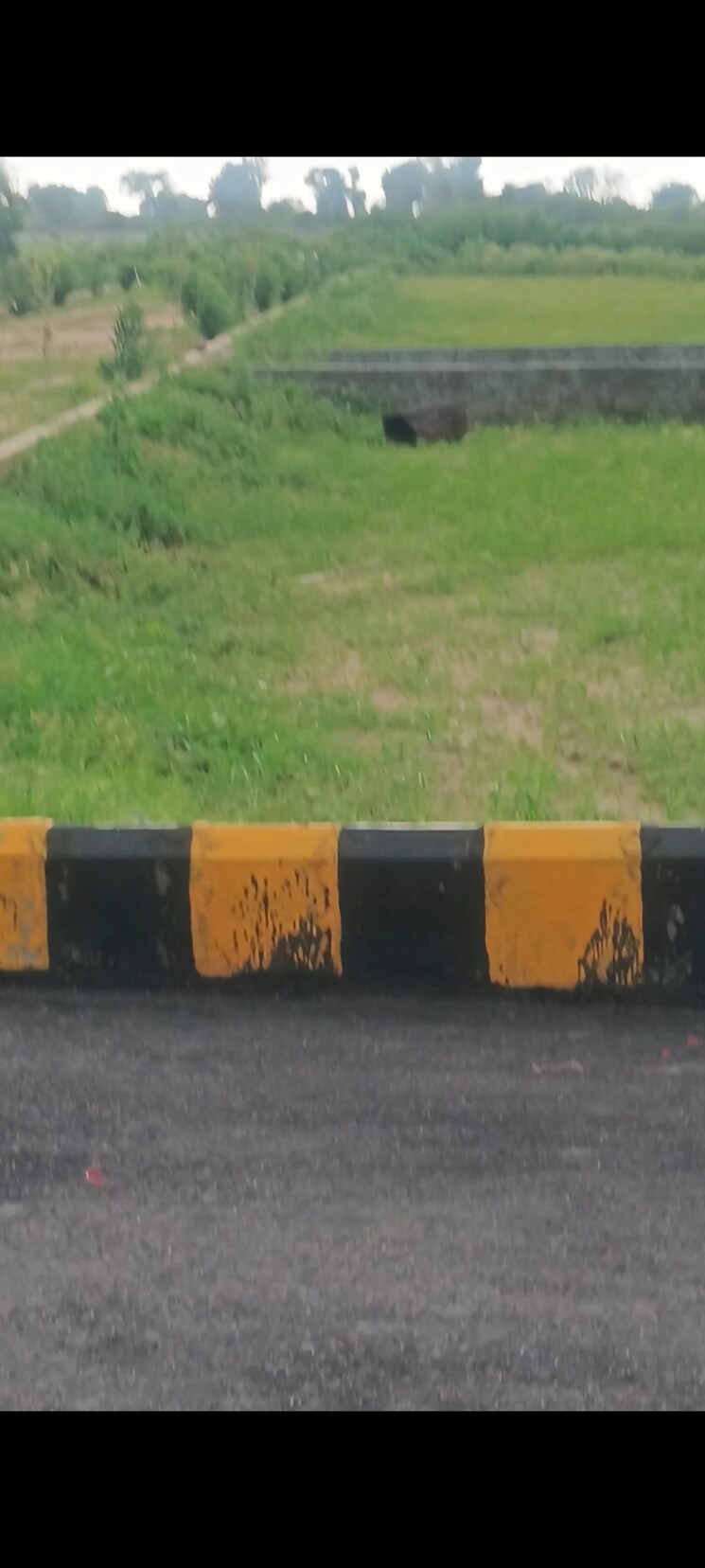 undefined, jdia-dream-city  50 Sq.Yd. Plot In Jewar Greater Noida 9071558