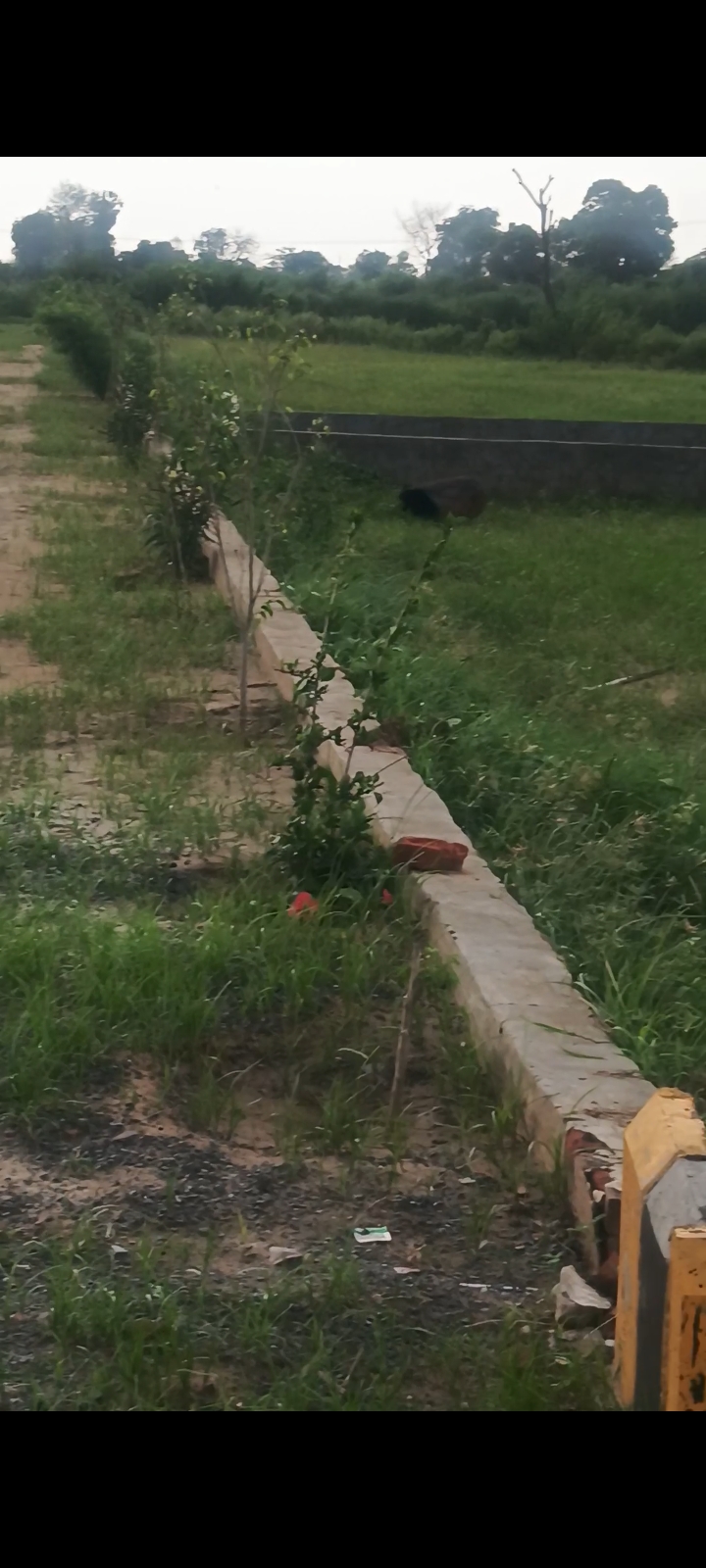 Plot For Sale in Sai Dham Apartments Kulesara