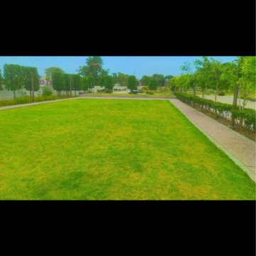  Plot – Garden View at Bada Bangarda - for Sale
