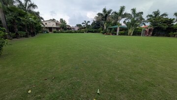 Plot Area in  Plot at Sector 135 – for Sale