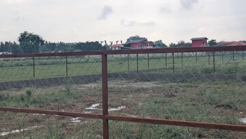 Plot Area in  Plot at Sector 135 – for Sale