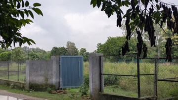 Plot Area in  Plot at Sector 135 – for Sale