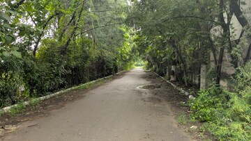 Plot Area in  Plot at Sector 135 – for Sale