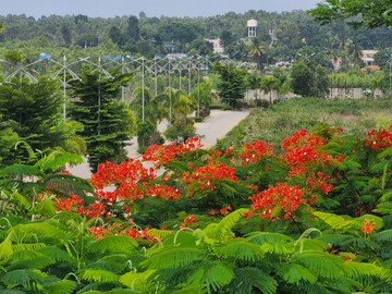 4 BHK Villa – Garden View at The Empyrean Phase II, Chikka Tirupathi - for Sale